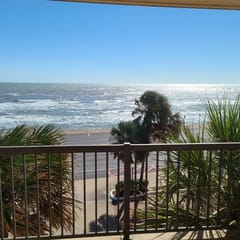 Top of the Palms