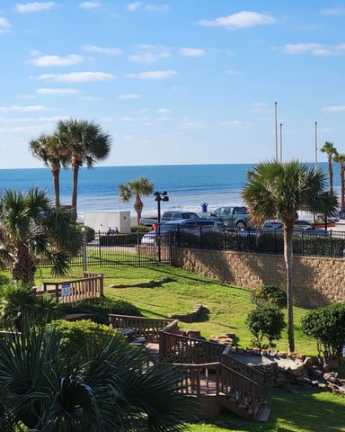 Beachfront property with palm trees, manicured lawn, wooden deck, and ocean view beyond parking area