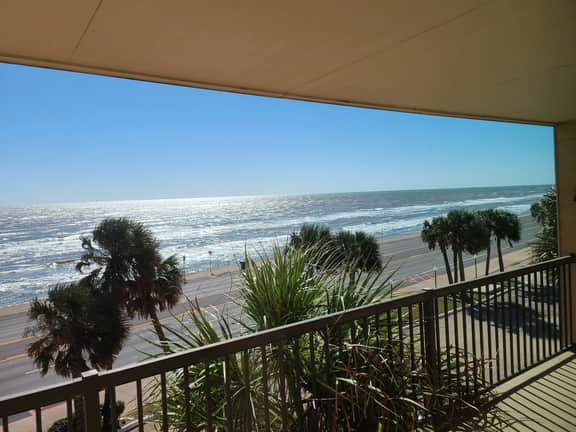 Top of the Palms - Image 4