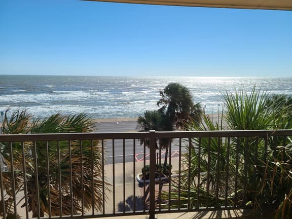 Top of the Palms - Image 1