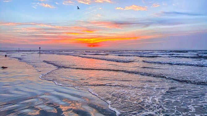 Best Galveston Beaches to Visit