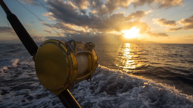 What Are the Best Places to Go Fishing in Galveston, Texas?