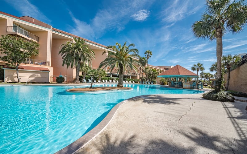 Palm Tree Oasis